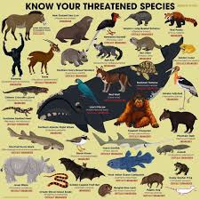 Peppermint Narwhal Creative S Instagram Photo Today Is Threatened Species Day So We Thought It Was Endangered Species Art Animal Posters Endangered Animals