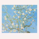 Almond Blossom - Van Gogh @ Hudo Lounge, Cardiff