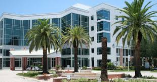 Bayfront Patient Sexually Assaults Another May Have Attacked Tampa Man Two Months Earlier Saintpetersblog