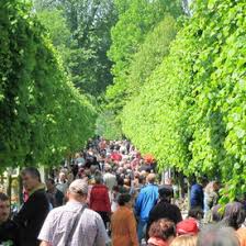 Botanischer garten (kassel) | entdecke kommende veranstaltungen zum top preis im veranstaltungskalender von meinestadt.de wir bieten dir eine auflistung an konzerten, vorführungen, events & ausstellungen reserviere dir jetzt das passende programm für deine location jetzt einfach, schnell & sicher ticket online buchen! Botanischer Garten Documenta Stadt Kassel