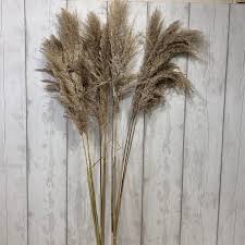 Huge sale on dried herbs wholesale now on. Dried Flowers Foliage Preserved Foliage Wholesale Dried Flowers Florist Supplies Uk