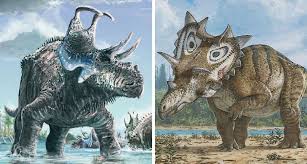 Forgive me but i don't know how. Two Newly Identified Dinosaurs Donned Weird Horns Prehistoric Animals Dinosaur Animals