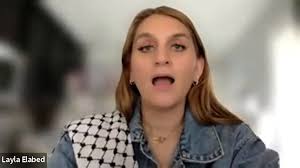 @_waleedshahid's video Tweet