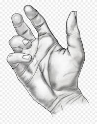 1024 X 1024 6 Gambar Sketsa Tangan Kiri Hd Png Download 1024x1024 404896 Pngfind