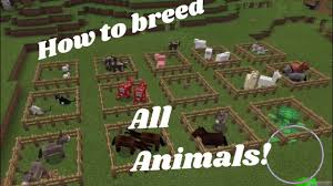 Get the animals favorite food: Minecraft Pe How To Breed All Animals Youtube