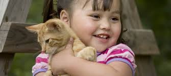 WALTHAM® pocket book of human-animal interactions