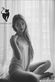 轰 趴 猫