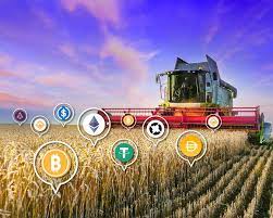 Staking Vs Yield Farming Understand Their Key Differences Oobit Com