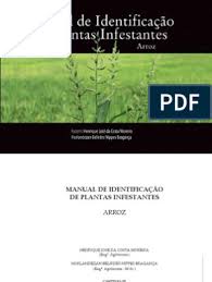 O colorido das flores e a polinização. Infestantes Arroz Glossario Vegetal Botany Horticultura E Jardinagem