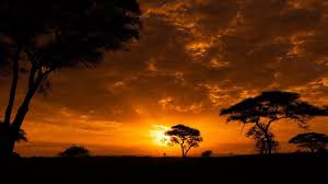 Cool African Music African Safari Youtube