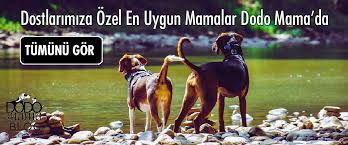 Kopek Mamasi Nasil Verilir