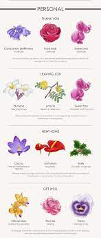A Flower For Every Occasion Your Complete Guide Beautiful Flowers Garden Botanical Flowers Flower Guide
