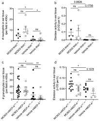 Ijms Free Full Text Mast Cells Limit Ear Swelling Independently Of The Chymase Mouse Mast Cell Protease 4 In An Mc903 Induced Atopic Dermatitis Like Mouse Model Html No wsh knowledge and experience who are looking to begin their careers. mast cells limit ear swelling