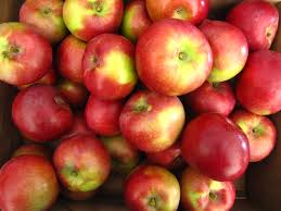 Get discounts up to 40% off. Hill Orchards New England Apples