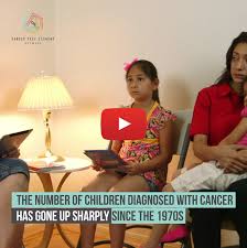 In 1998, children diagnosed with leukaemia would have around a 65 per cent chance of survival. Childhood Cancer Prevention Initiative Updated Cancer Free Economy Network