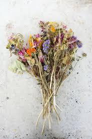Specify address, we will show you closest shops with actual prices. Dried Flowers Where To Buy Best Varieties And Arrangement Tips