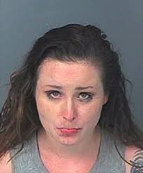 Police K9 named Justice bites suspected meth dealer in head following  botched drug deal in Florida