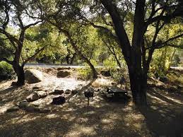 Each site contains a table, barbecue, and fire ring. Wheeler Gorge Campground Los Padres Ca 14 Hipcamper Reviews And 26 Photos