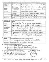 Pin On Biochemistry