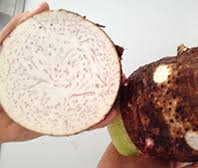 Maybe you would like to learn more about one of these? Online Edible Plants Sweet Potato To Yam