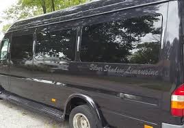 Image result for Orchid Green 2004 Sprinter