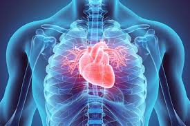 Cara mengatasi penyakit jantung secara alami dengan tahitian noni juice. Hari Jantung Sedunia Simak Cara Mencegah Penyakit Jantung Sejak Dini Halaman All Kompas Com