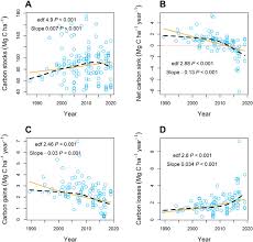the carbon sink of tropical seasonal