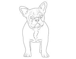 Kostenlose Malvorlage Hunde Franzosische Bulldogge Zum Ausmalen