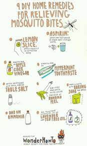Remede de grand mere : Epingle Par Mackenzie Mae Sur Useful Tips Remede Piqure De Moustique Moustique