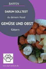 gemuse und obst versorgen deinen hund mit wichtigen ballaststoffen die fur eine gute verdauung notwendig sind hunde ernahrung gemuse fur hunde obst fur hunde