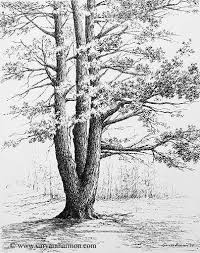 Black And White Pencil Drawings Of Trees Pin By Ljiljana Milenkovic On Ladybug Tree Drawing Landscape Drawings Drawings