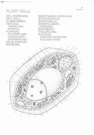 Search through 623,989 free printable colorings at getcolorings. Cell Coloring Worksheet Pdf