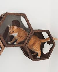 House For Cat Wall Shelves Cat Furniture Cat Toys Cat Etsy In 2020 Cat Furniture Cat Lovers Cat Bed