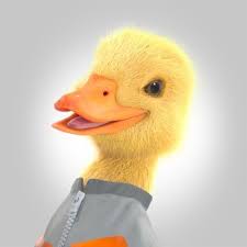 …to the 17th century is pato (duck), which is played on an …to the 17th century is pato (duck), which is played on an open field between two teams of four horsemen each. Pato Bancoestado Statistics On Twitter Followers Socialbakers