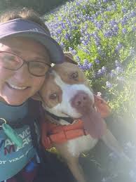 When a friend goes hiking with you and sends pictures of yourself and the  boys ♥️🐾♥️