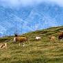 Agribusiness Policies Take Center Stage in Brazil’s 2026 Election Debate