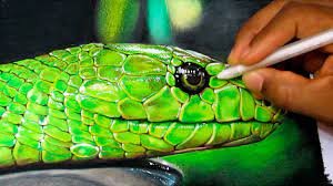 The images above represents how your finished drawing is going to look and the steps. How To Draw A Realistic Snake Time Lapse Youtube