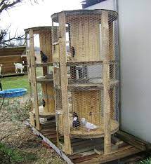 Ma, come è nostra buona abitudine consolidata ormai da lungo tempo, procediamo con ordine e iniziamo a comprendere quelli che sono gli elementi di base che ci aiutano a realizzare un pollaio fai da te. Pollaio Fai Da Te Con Materiali Di Recupero E Riciclo Creativo Galline Pollaio Ricette Con Uova E Video Divert Pollaio Fai Da Te Pollaio Per Anatre Pollaio