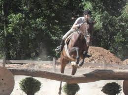 The topic the consumer/producer is subscribed to. Kafka Farms Horse Boarding Farm In Watchung New Jersey