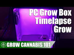 Check spelling or type a new query. Video Grow Box