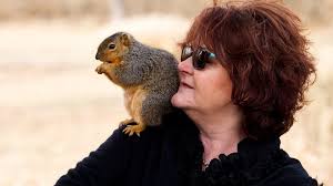 Abandoned squirrel 'Baby' becomes part of Indiana family