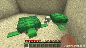 The turtle will lay up to 4 eggs. How To Breed Turtles In Minecraft