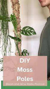 Make Your Own Moss Pole By Listening To Episode 42 Of The Bloom And Grow Radio Podcast Monstera Plant Indoor Shade Plants House Plant Care
