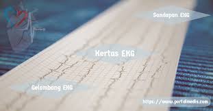 We did not find results for: Kertas Sandapan Dan Gelombang Ekg Portal Medis Portal Kesehatan Akurat Dan Terpercaya