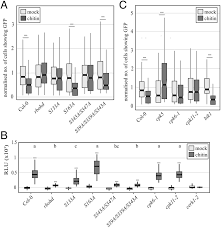 Well, it's because plants and animals have different goals — each of. Chitin Perception In Plasmodesmata Characterizes Submembrane Immune Signaling Specificity In Plants Pnas