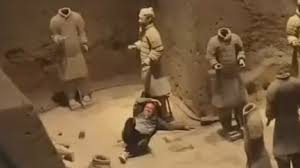 images?q=tbn:ANd9GcQlk9sMvhI44TEoN9vyz7iORfiNmsE9GCEpTw&s