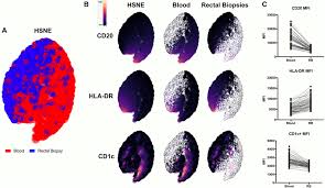 Copy widget onto your site or blog. Hsne Analysis Of Blood And Rm Residing Mzb Cells Analysis Was Download Scientific Diagram