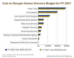 What kind of support is available for foster parents? Georgia Human Services Budget Primer For State Fiscal Year 2021 Georgia Budget And Policy Institute