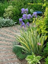 Garden Bloggers Design Workshop Paths And Walkways Garden Bloggers Budget Garden Beautiful Gardens