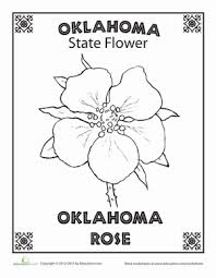 Earth wind & flower, ardmore, oklahoma. Oklahoma State Flower Worksheet Education Com